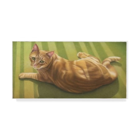 Francien Van Westering 'Orange Cat On Carpet' Canvas Art,24x47
